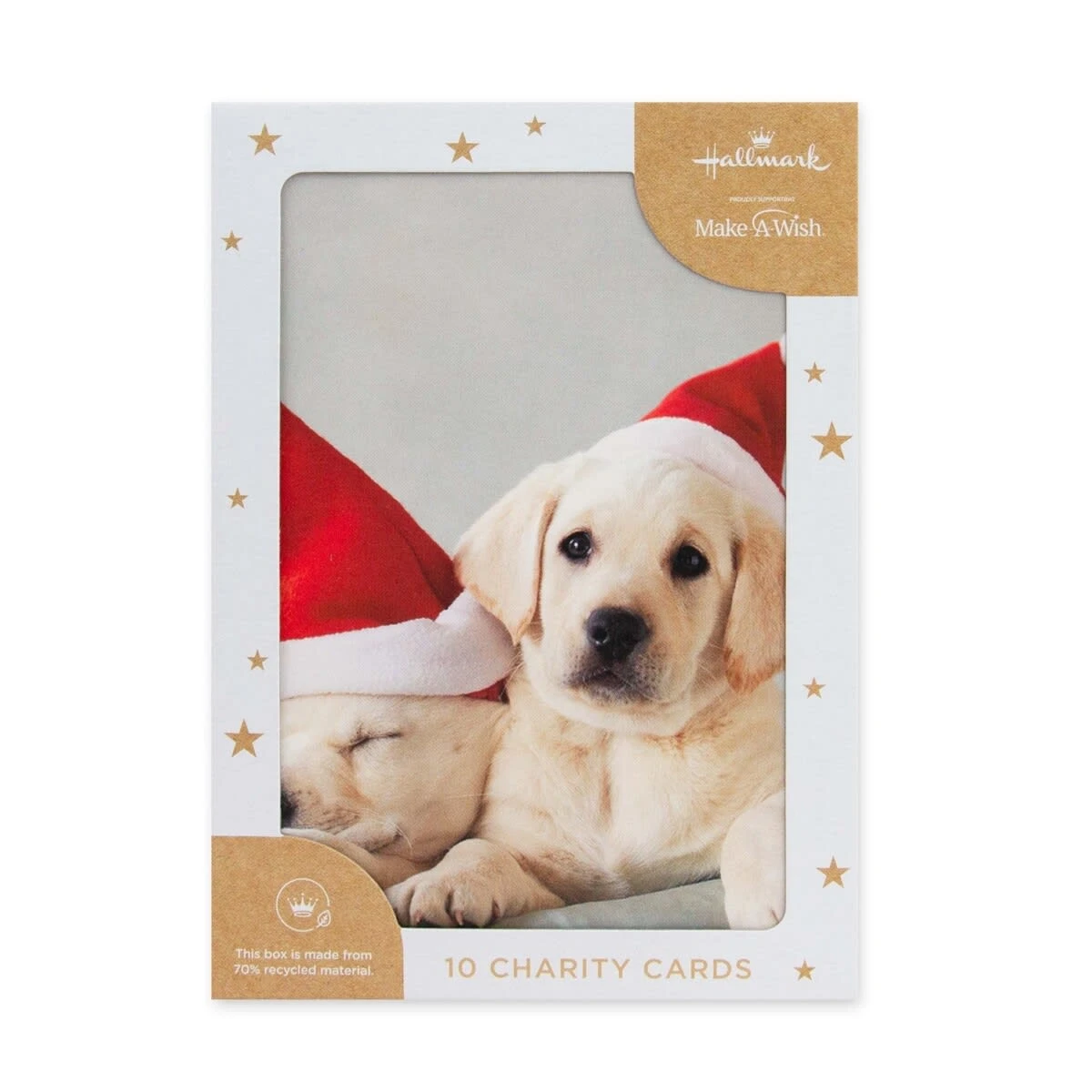 Hallmark 10 Pack Boxed Charity Christmas Cards - Puppies And Kitten 3 Hallmark 10 Pack Boxed Charity Christmas Cards - Puppies And Kitten - Image 3