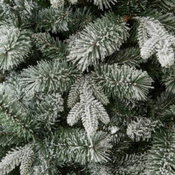 2.13m (7ft) Snowy Balsam Fir Christmas Tree - (G) -Christmas Gift Shop 020f5e6a a6cf 4ab0 8ef2 c5f6fee6a417