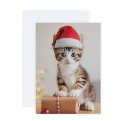 Hallmark 10 Pack Boxed Charity Christmas Cards - Puppies And Kitten