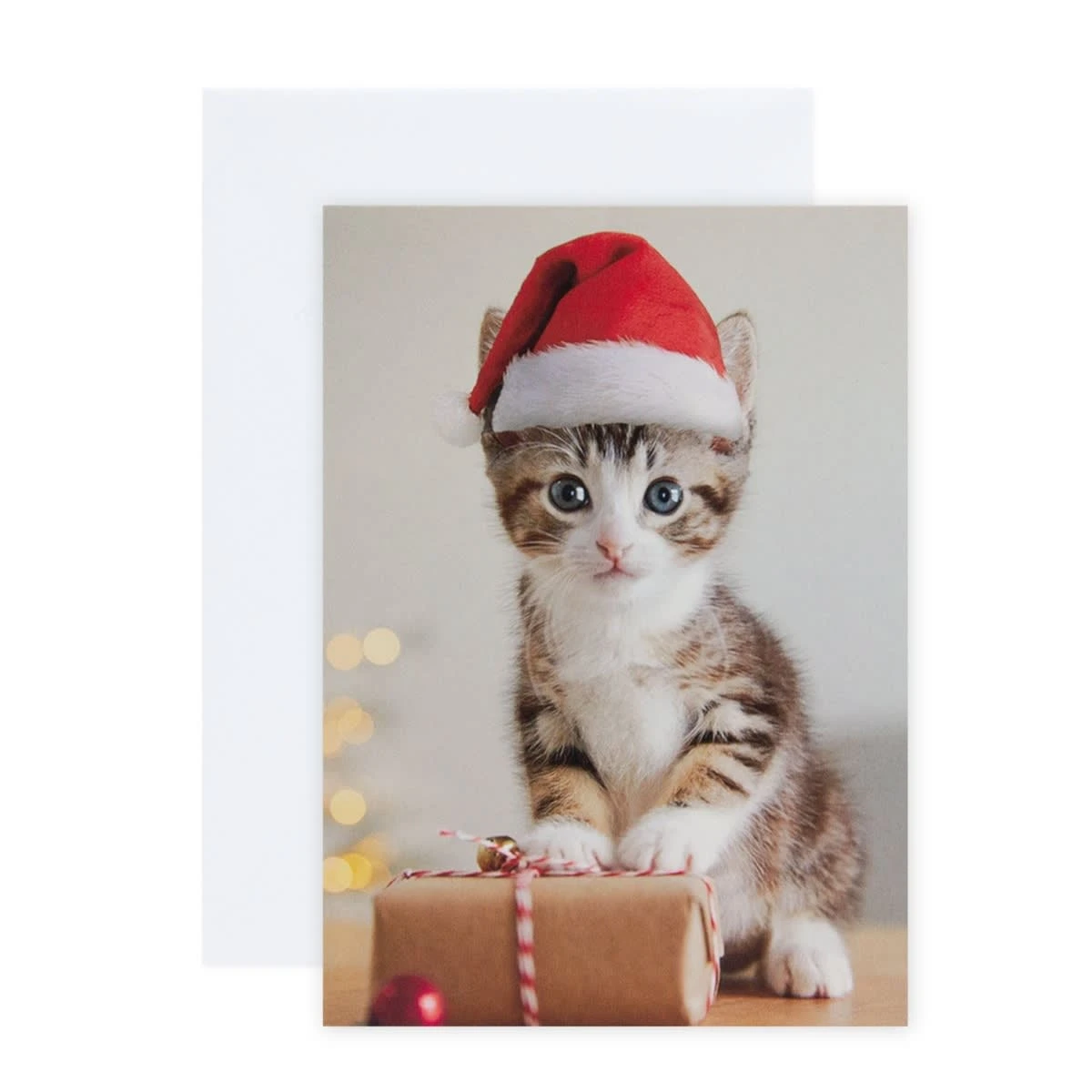 Hallmark 10 Pack Boxed Charity Christmas Cards - Puppies And Kitten 1 Hallmark 10 Pack Boxed Charity Christmas Cards - Puppies And Kitten