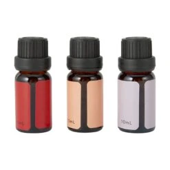3 Pack Christmas Foodie Faves Fragrance Oils