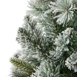 2.13m (7ft) Snowy Balsam Fir Christmas Tree - (G)