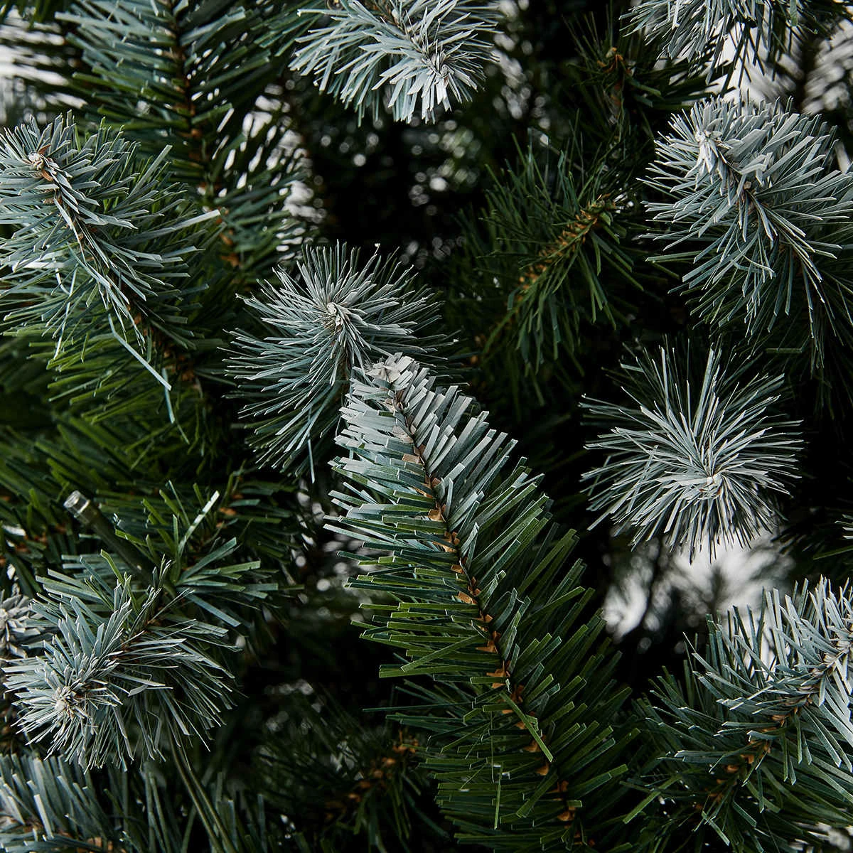 2.13m (7ft) Prelit Frosted Pine Christmas Tree - (J) 3 2.13m (7ft) Prelit Frosted Pine Christmas Tree - (J) - Image 3