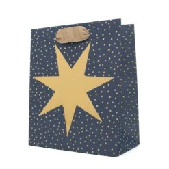 Hallmark Small Christmas Gift Bag - Shining Star