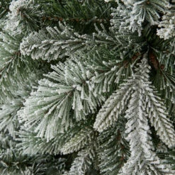 2.13m (7ft) Snowy Balsam Fir Christmas Tree - (G) -Christmas Gift Shop 6e588e6e b639 457f b6c3 71619e089a8f