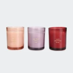 Christmas Foodie Fragrant Candle Gift Set 11 Christmas Foodie Fragrant Candle Gift Set -Christmas Gift Shop 71fd90be 7e01 4e3e 848d c55ebf150e1f