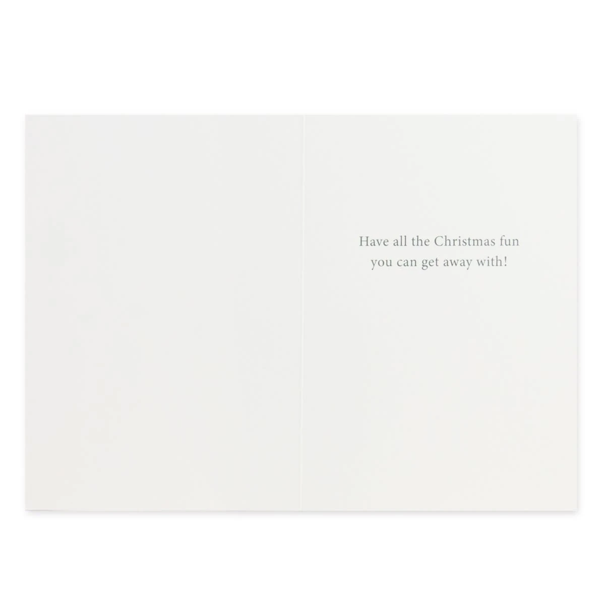 Hallmark 10 Pack Boxed Charity Christmas Cards - Puppies And Kitten 2 Hallmark 10 Pack Boxed Charity Christmas Cards - Puppies And Kitten - Image 2