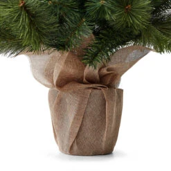 1.22m (4ft) Christmas Tree Green - (C) -Christmas Gift Shop b933ecdb 61e7 4f1a 8876 beb790124271