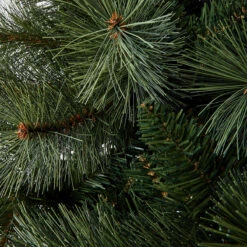 1.82m (6ft) Kingston Pine Christmas Tree (D) -Christmas Gift Shop bbc1803a 6eee 4748 96f0 3bca5e2f1bd2